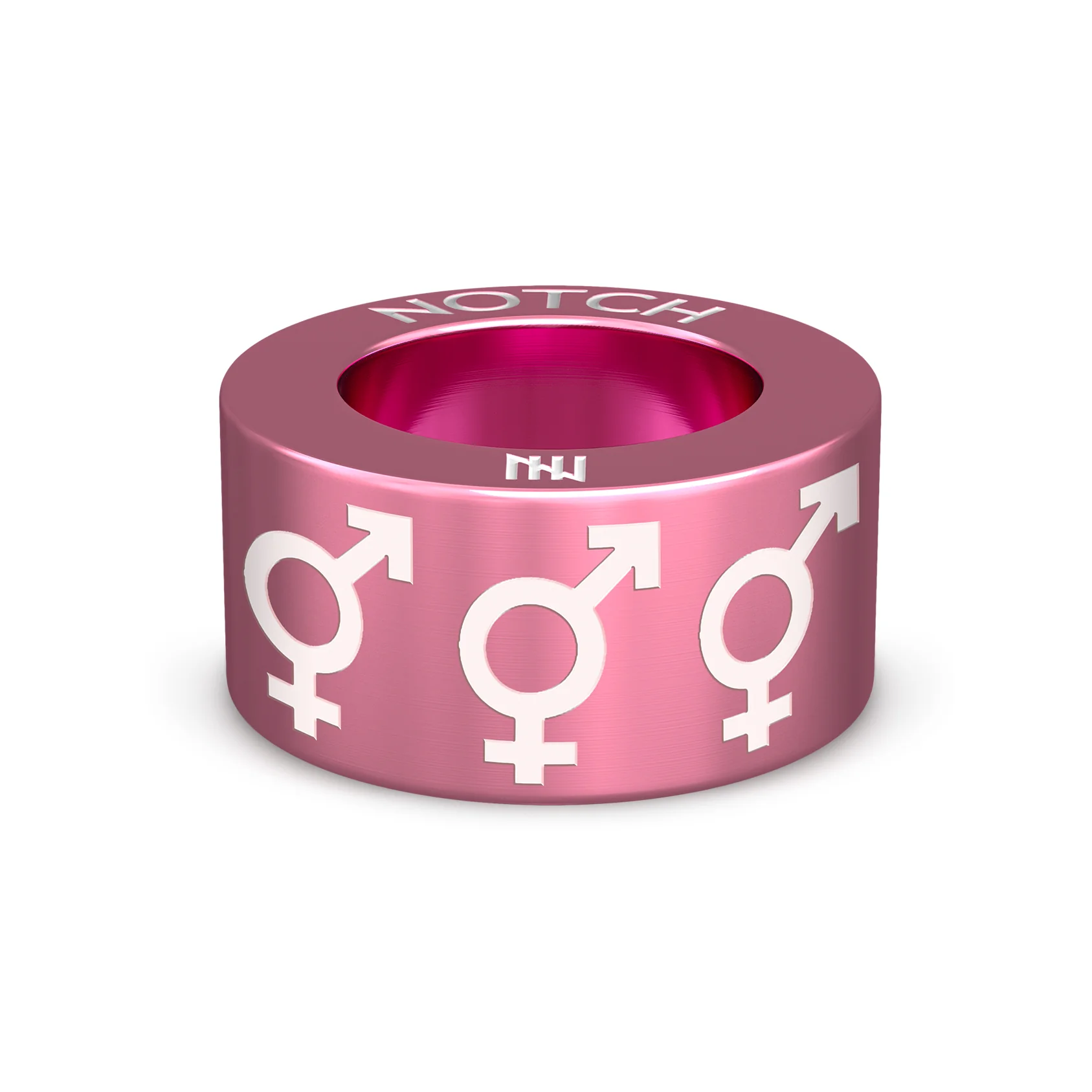 Bigender NOTCH Charm