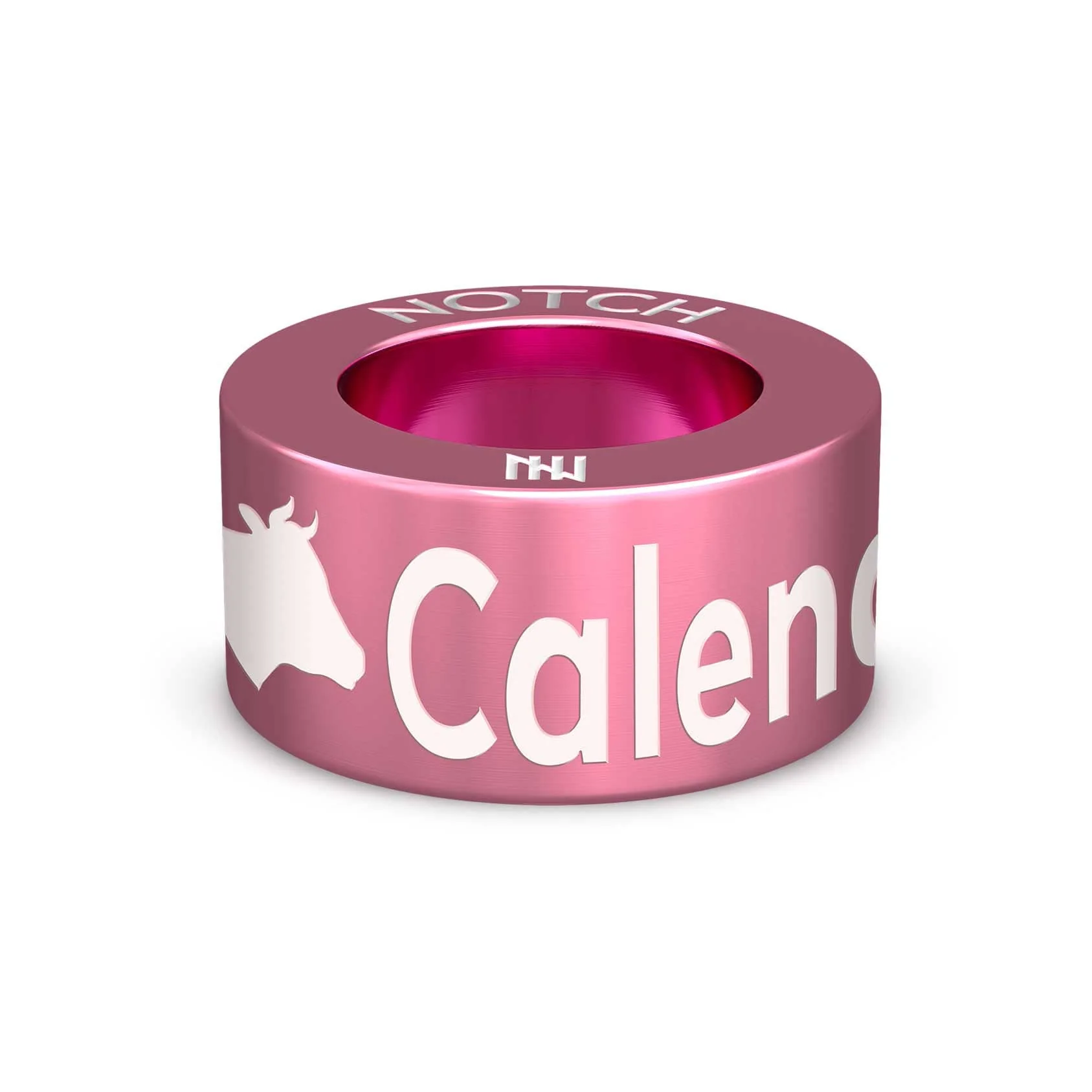 Calendar Bingo NOTCH Charm