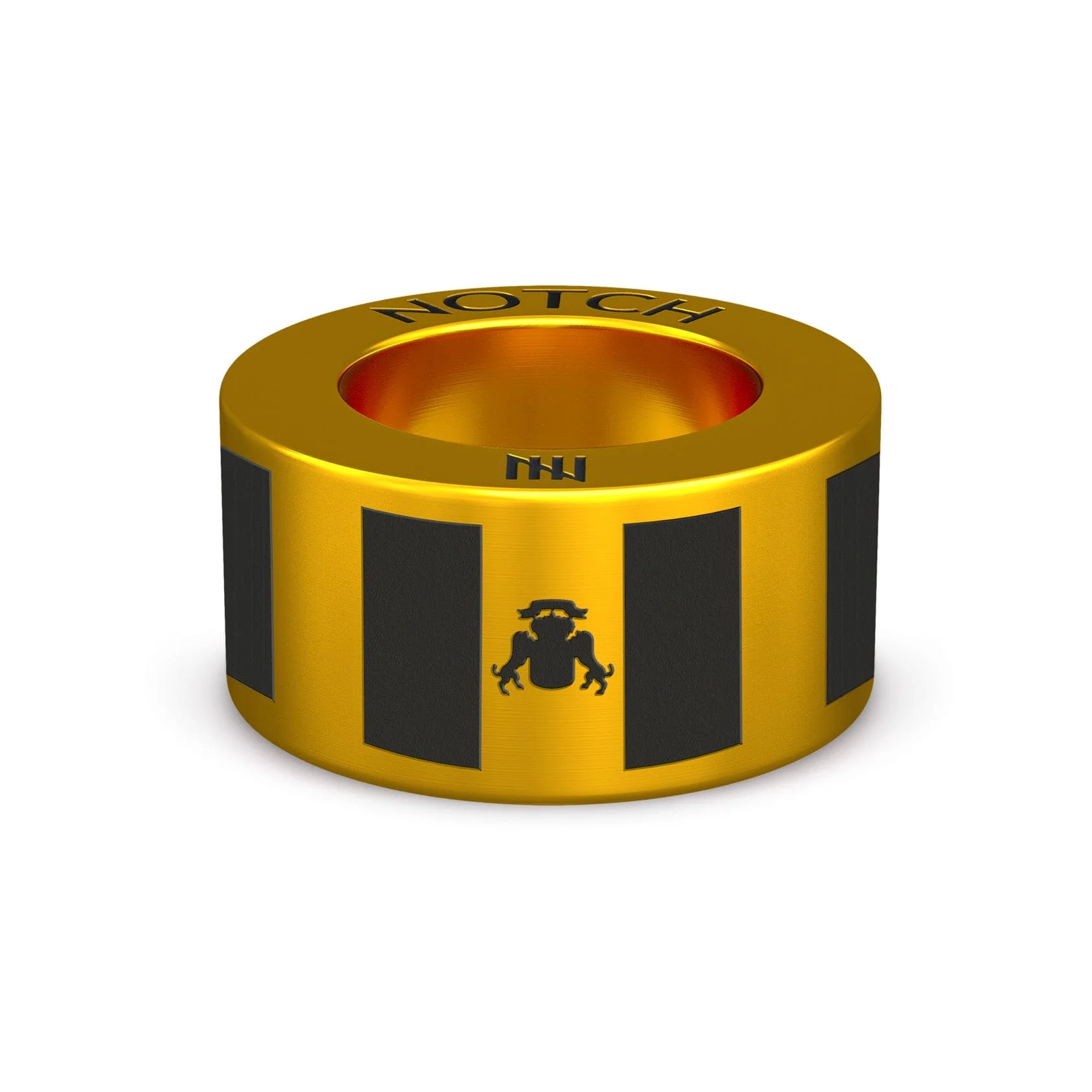 Canary Islands Flag NOTCH Charm