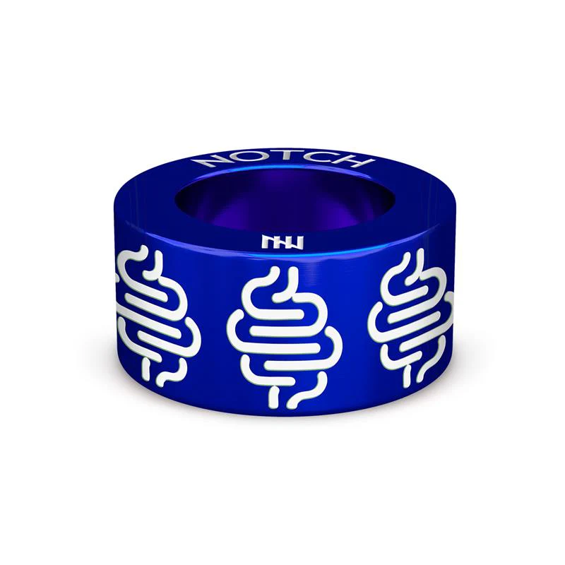 Digestive System NOTCH Charm