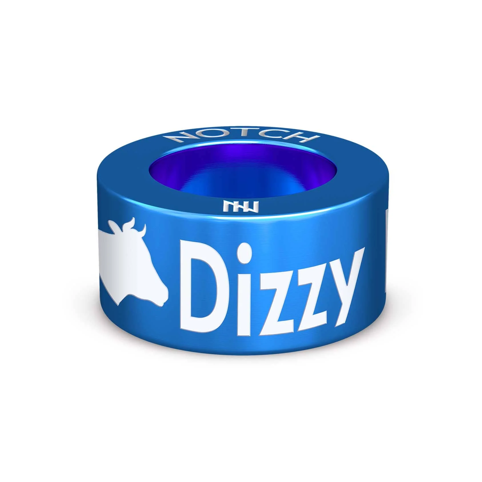 Dizzy Heights PL NOTCH Charm