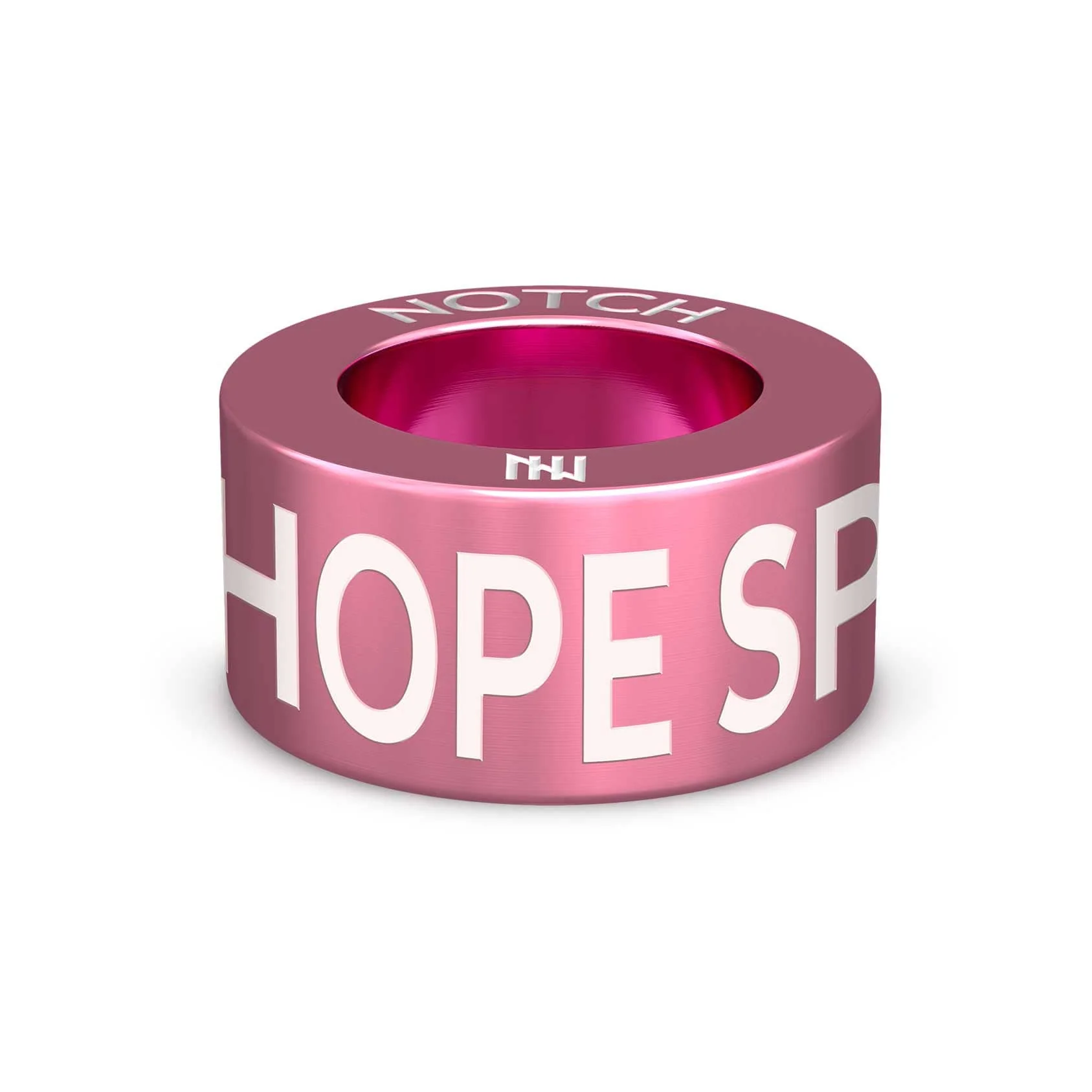 HOPE SPRINGS ETERNAL NOTCH Charm