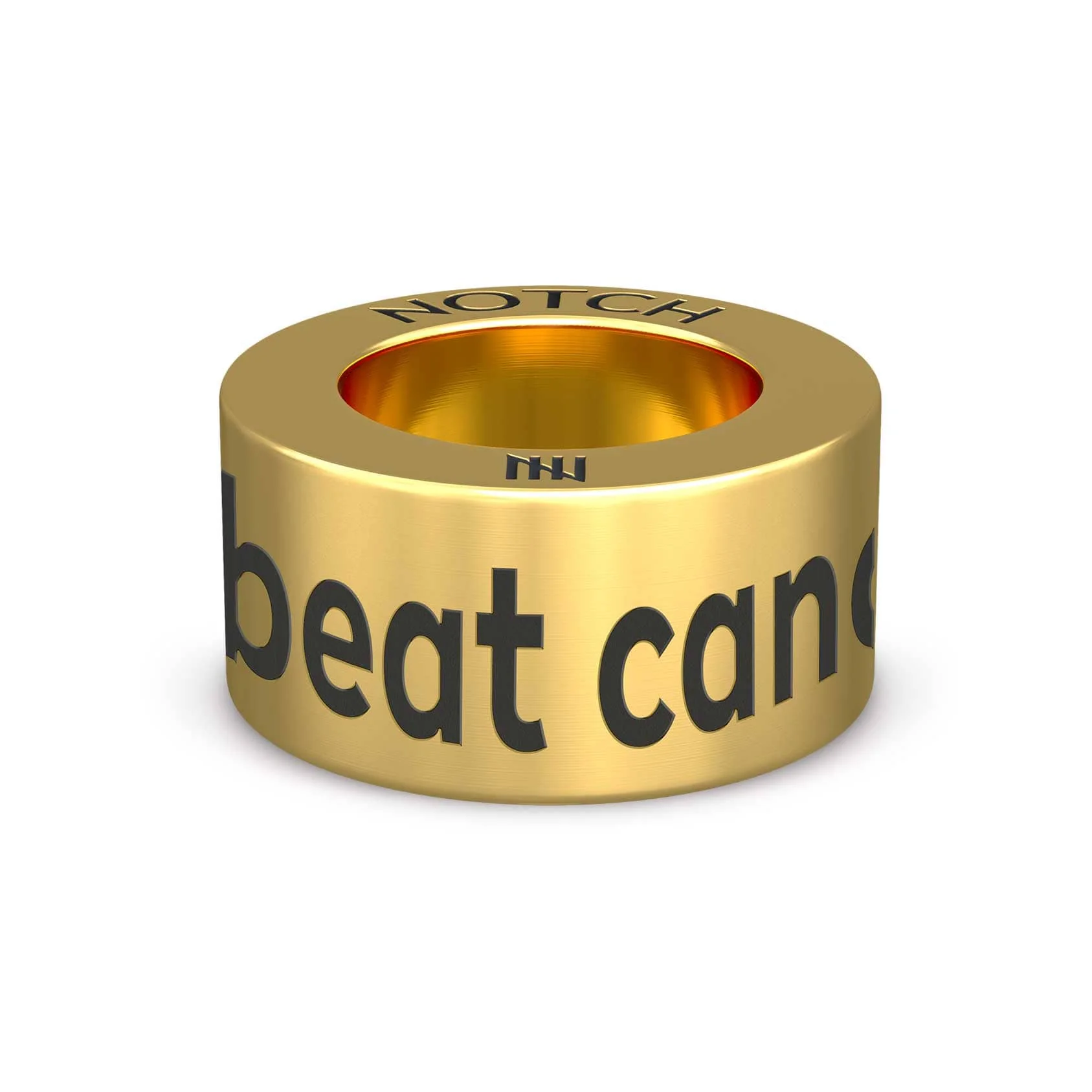 I beat cancer NOTCH Charm