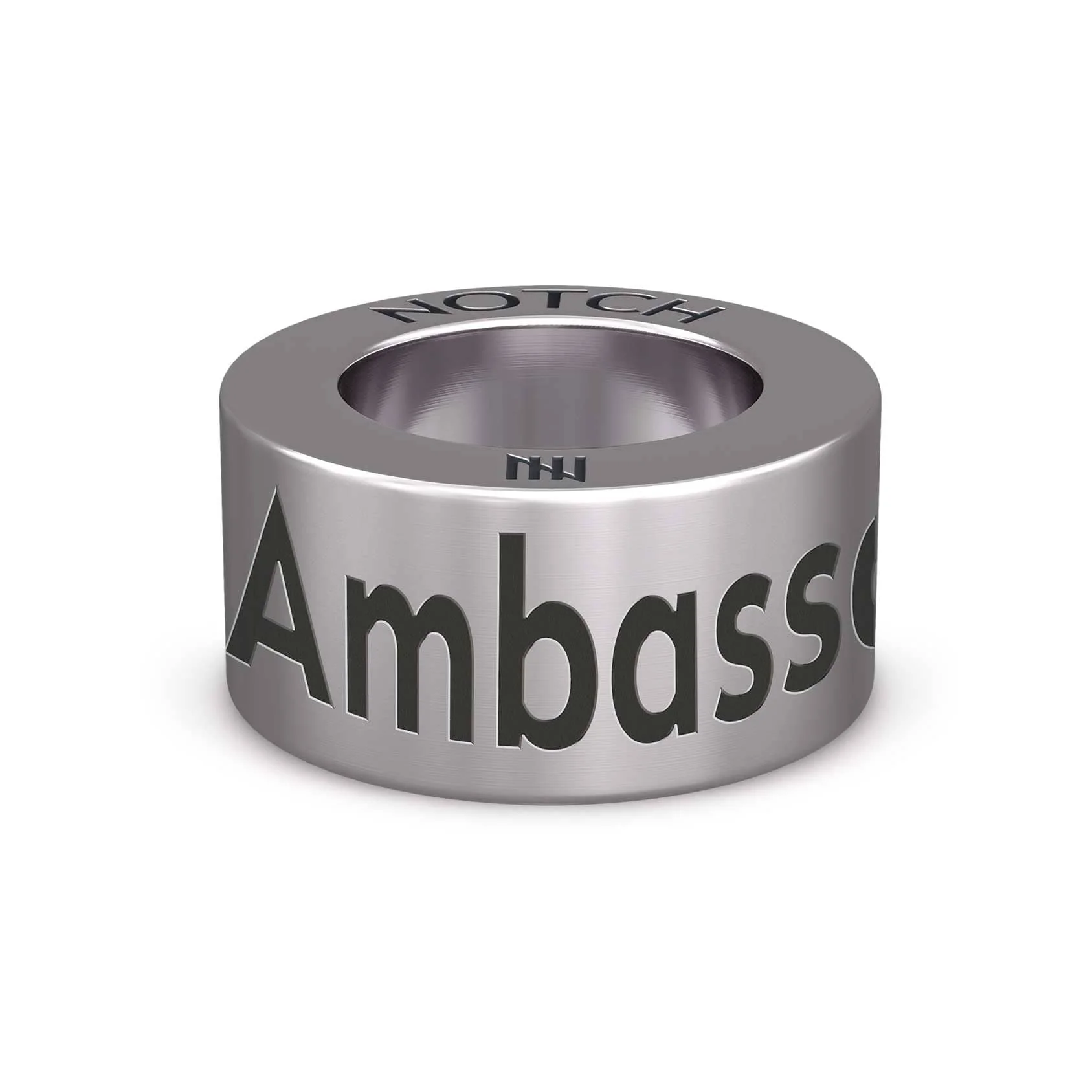 School Ambassador NOTCH Charm