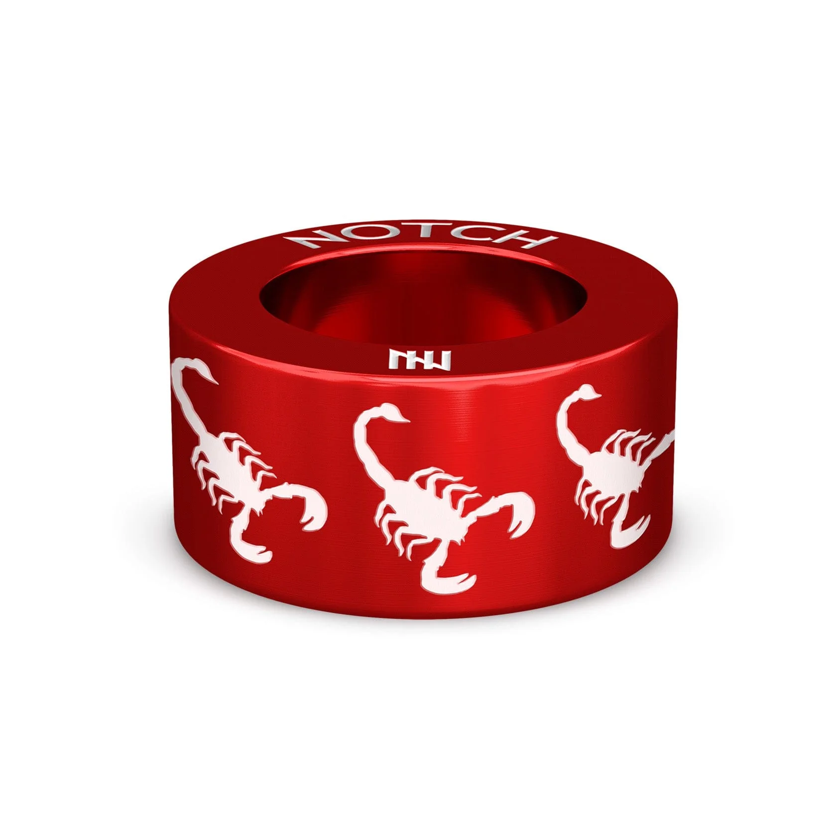 Scorpio Scorpion NOTCH Charm