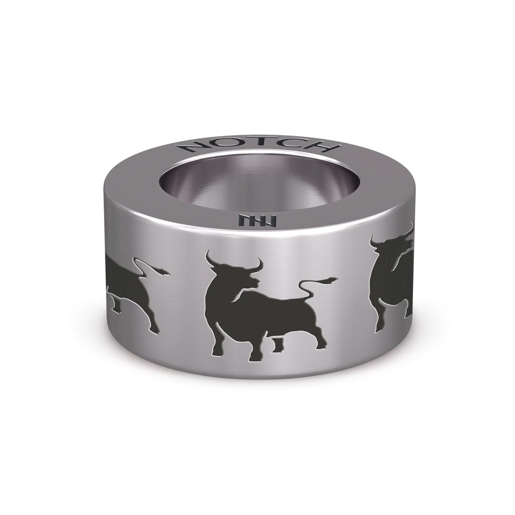 Taurus Bull by Cobbs