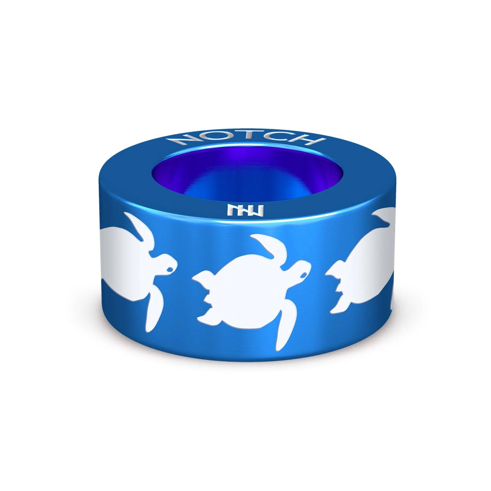 Turtles NOTCH Charm