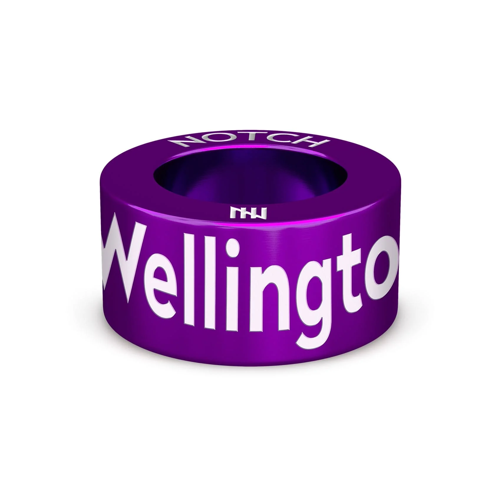 Wellington Pride Festival NOTCH Charm